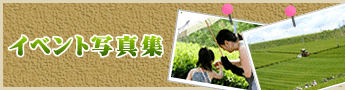 �C�x���g�ʐ^�W