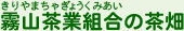 霧山茶業組合の茶畑
