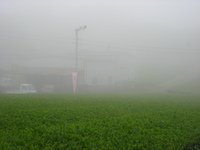 ファイル 39-2.jpg