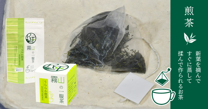 新葉を摘んですぐに蒸して揉んで作られるお茶、煎茶