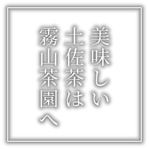 美味しい土佐茶は霧山茶園へ