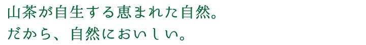 山茶が自生する恵まれた自然。だから、自然においしい。